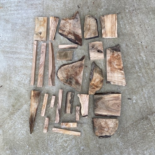 Lotto scarti legno - , ulivo