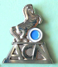 DISTINTIVO SPILLA PIN BADGE -