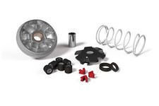 VARIATORE MALOSSI 517075