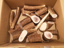 Masticativo per cani di Corno di Cervo. Pezzo singolo 100g circa 