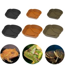 Piatto d'acqua tartaruga