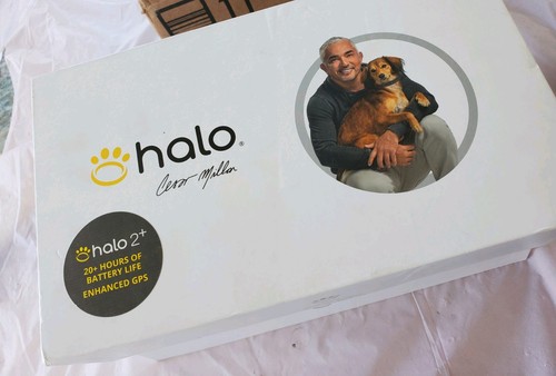 Halo with cesar - halo,