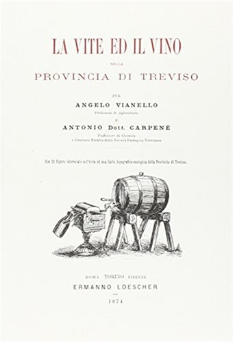 Vite vino nella - vino,