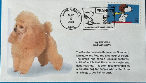 3507 peanuts snoopy - 3507,