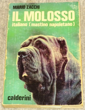 IL MOLOSSO ITALIANO MASTINO