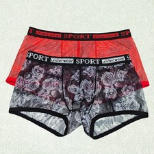 Boxer in rete fantasia