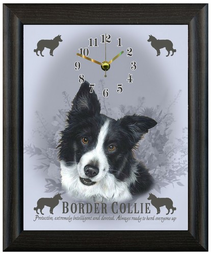 Orologio border collie - orologio,