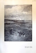 Antica vecchia stampa fieno