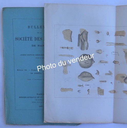 Paléobotanique fliche al - &,