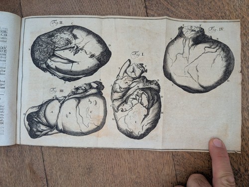 Libro antico raccolta - -,