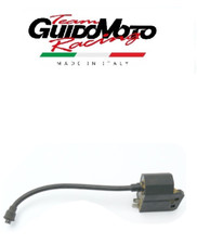 CENTRALINA ELETTRONICA CR1