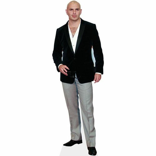 Pitbull mini formato