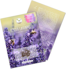 900X Semi Di Lavanda Ad Alto