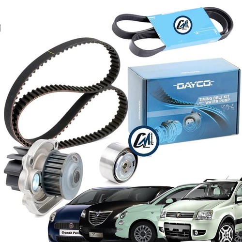 Kit distribuzione pompa - distribuzione, +