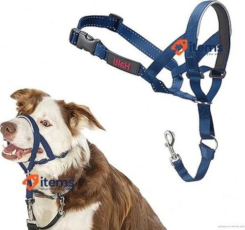 Company animals capezza to - company,
