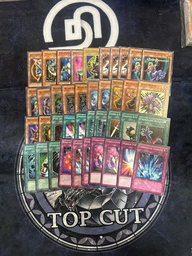 Mazzo yugioh formato capra - yugioh,