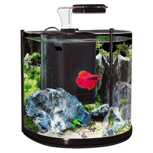 Aqua one betta tank - tank, bt10