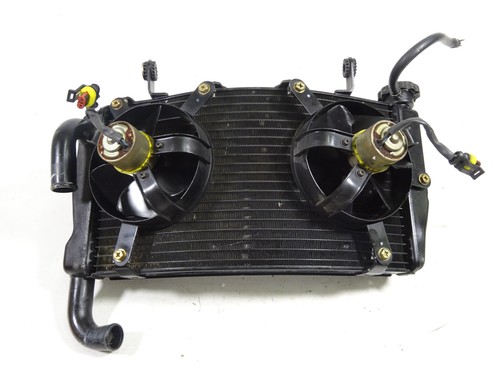 Radiatore ducati - radiatore,