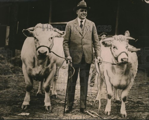 1917 foto stampa george - 1917,