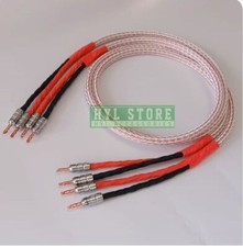 1 paio cavo altoparlante