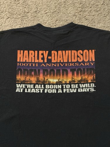 Harley davidson 2003 100th - harley,