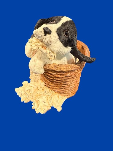 Springer spaniel goebel - springer,