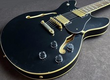 Chitarra elettrica Peavey