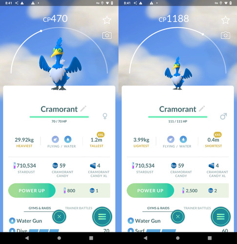 Pokémon cramorant xxl xxs - pokémon,