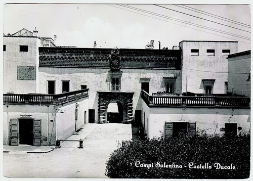 Campi salentina lecce - campi,