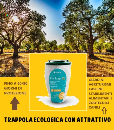 Trappola per mosche ecologica - trappola,