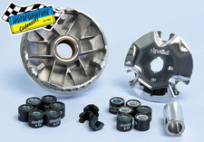 Variatore POLINI 241.626