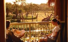 Disney's Animal Kingdom Villas