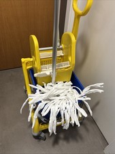 Carrello Pulizie Professionale Secchio Strizzatore Rimovibile e Ruote E Straccio