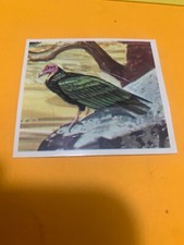 FIGURINA N.416 IL MONDO DEGLI