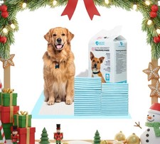 FPN Cuscinetti Addestramento