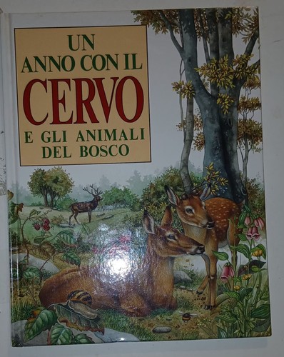 Anno con cervo e - e, gli