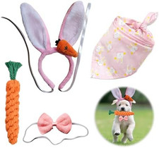 Costume per Cane