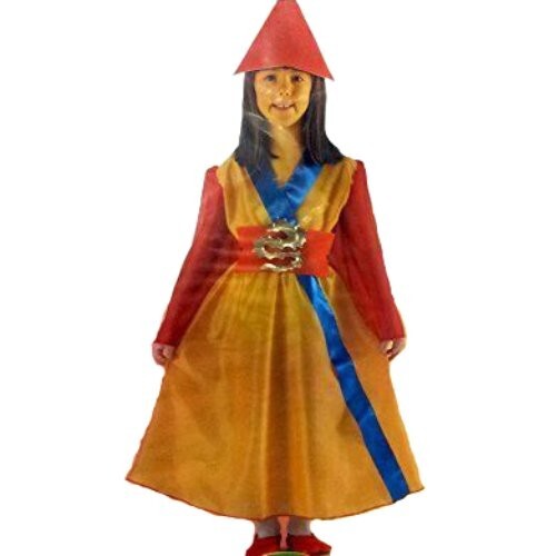 Costume completo carnevale - costume,