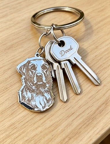 Labrador dog key - dog, present