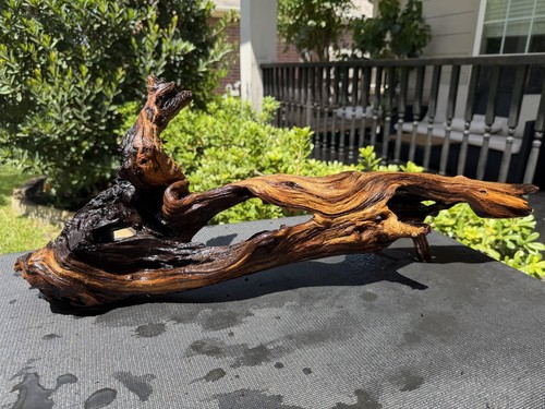 Driftwood mopani acquari pesci - driftwood,