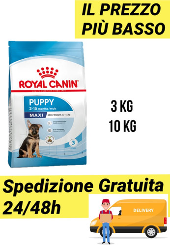 Croccantini royal canin - canin, maxi