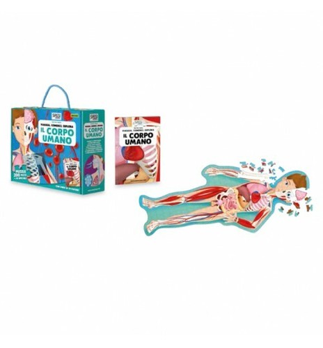 Corpo umano puzzle - puzzle, 3d