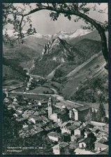 Cuneo vernante foto - foto, fg