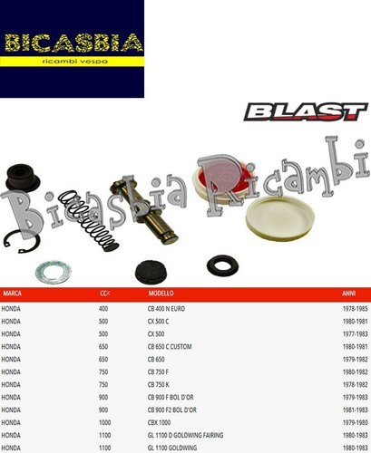 17666 revisione pompa freno - 17666,