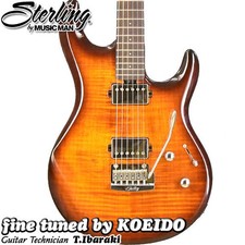 Sterling by MUSIC MAN LK100