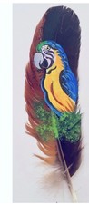 Pappagallo dipinto a mano su