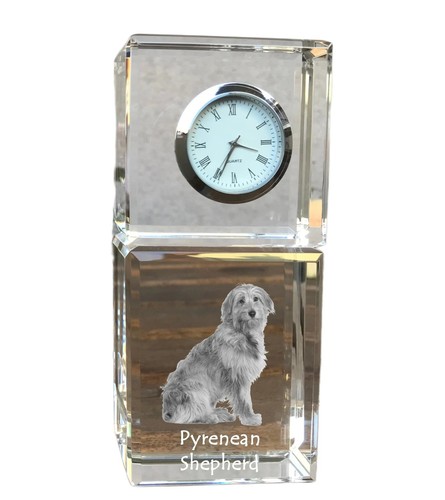 Cane pastore dei pirenei - cane,