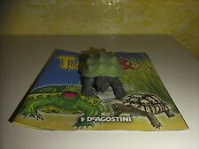 tartaruga alligatore rara della collezione Turtles&co