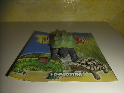 Tartaruga alligatore rara - tartaruga,