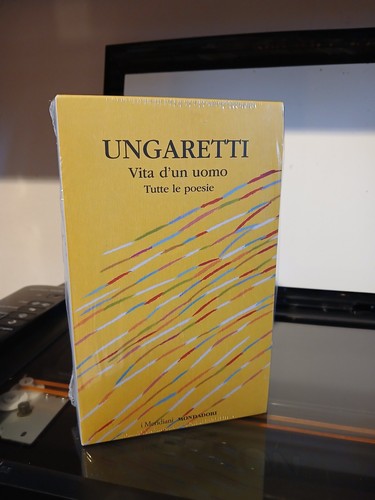 Ungaretti vita uomo - vita, un